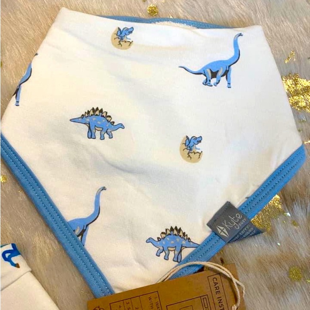 NWT SJ bib